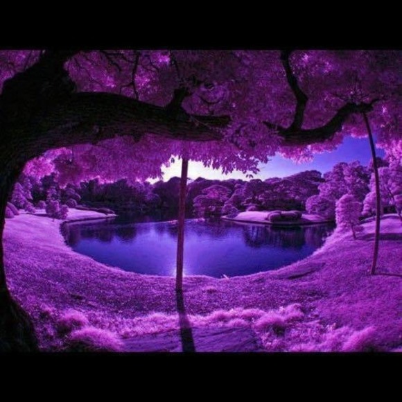 lvstbrnd